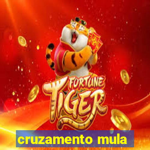 cruzamento mula