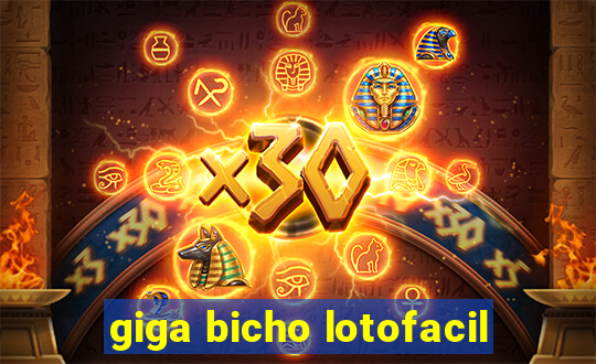 giga bicho lotofacil