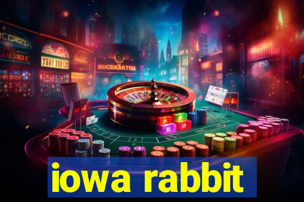 iowa rabbit