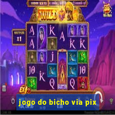 jogo do bicho via pix