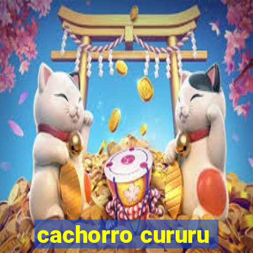 cachorro cururu