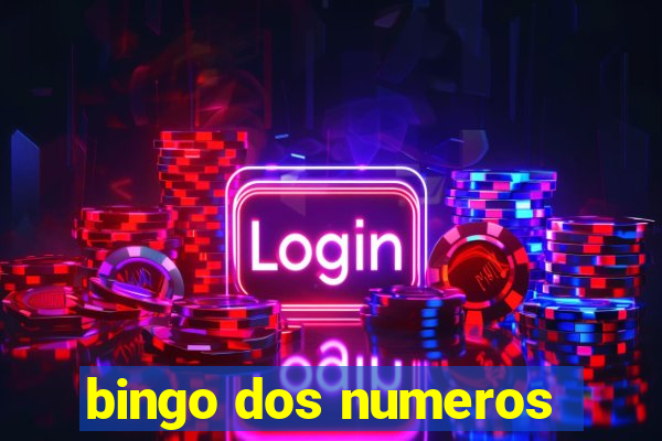 bingo dos numeros