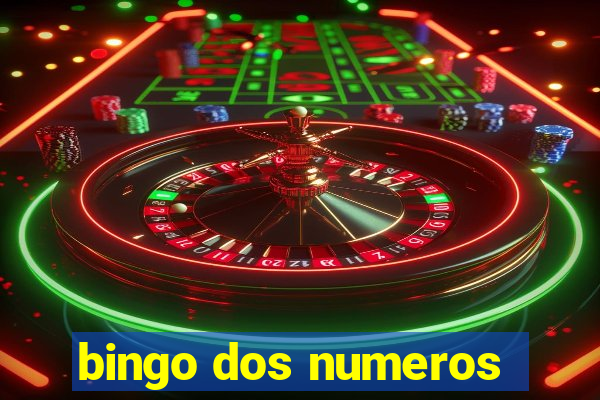 bingo dos numeros