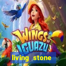 living stone network tv