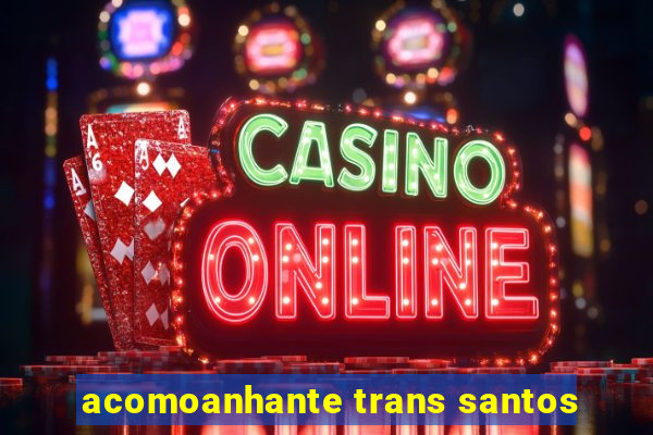 acomoanhante trans santos