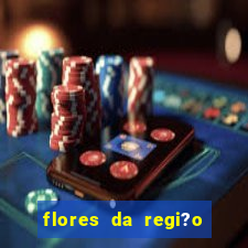 flores da regi?o sul do brasil