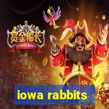 iowa rabbits