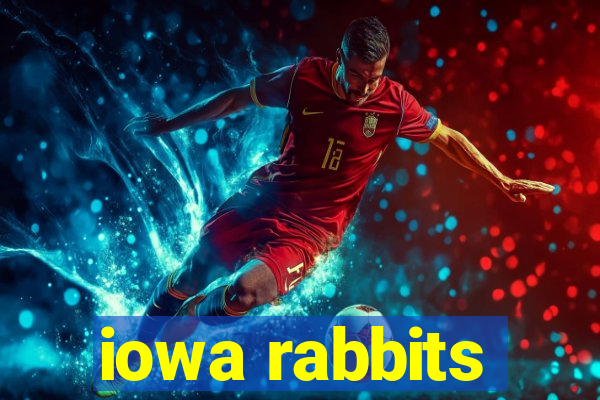 iowa rabbits