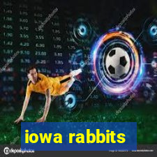 iowa rabbits