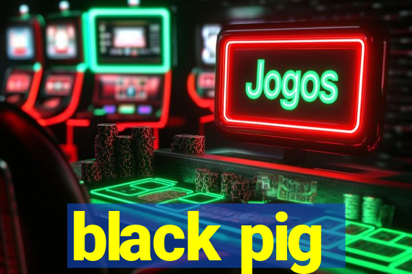 black pig