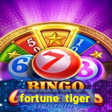 fortune tiger melhor horário