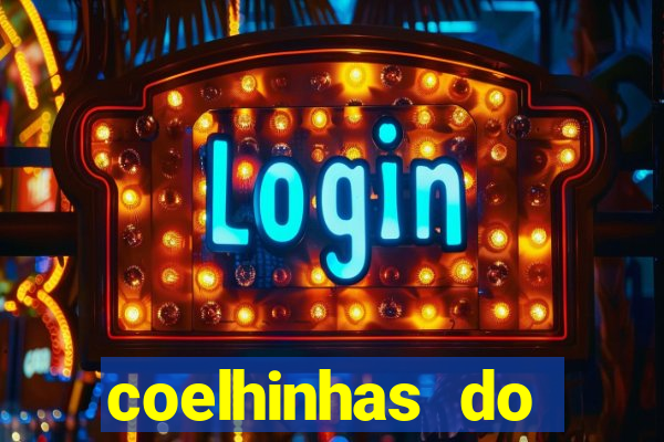 coelhinhas do brasil recife