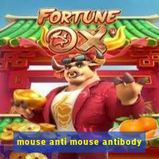 mouse anti mouse antibody