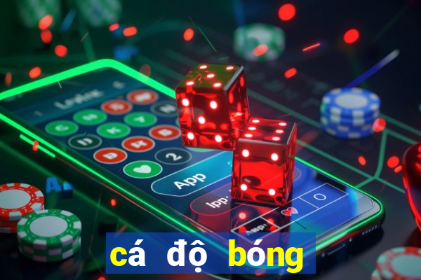 cá độ bóng đá online