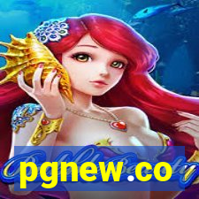 pgnew.co