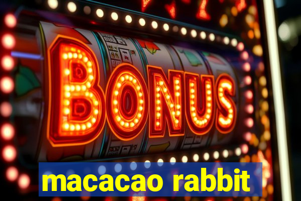 macacao rabbit