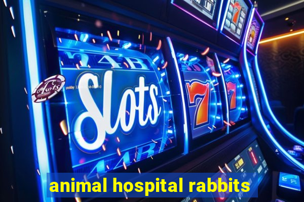 animal hospital rabbits