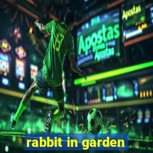 rabbit in garden