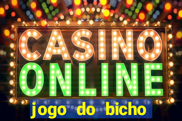 jogo do bicho crash bingo