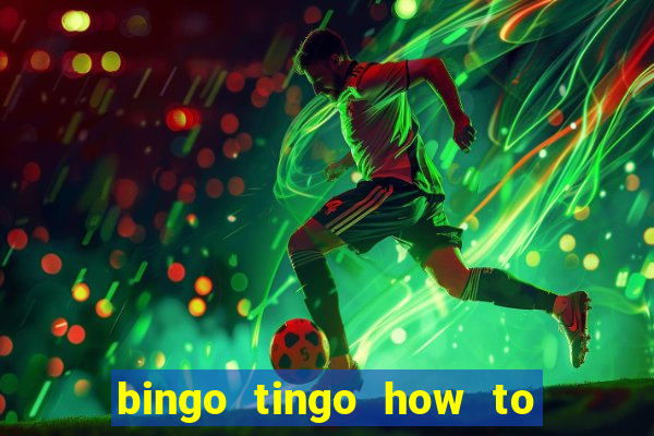 bingo tingo how to use canva