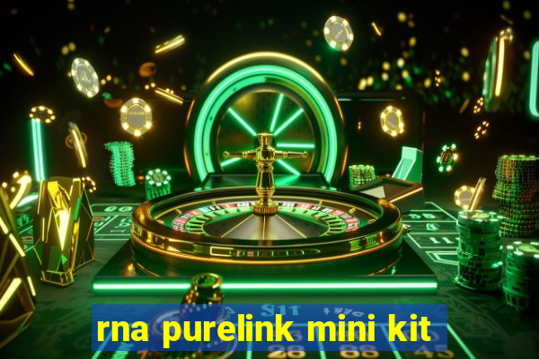 rna purelink mini kit