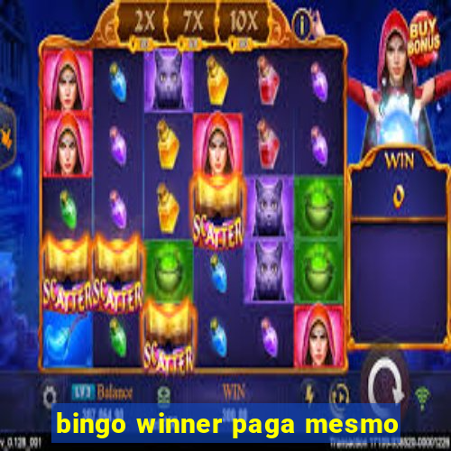 bingo winner paga mesmo