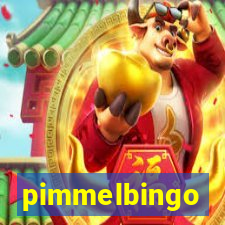 pimmelbingo