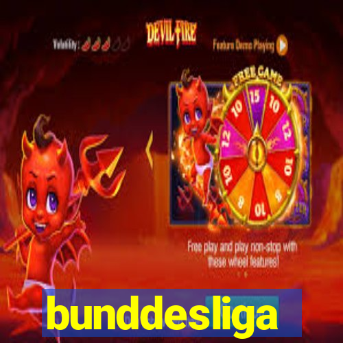 bunddesliga