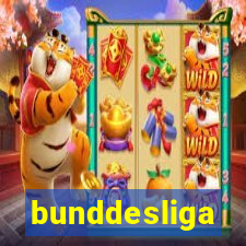 bunddesliga