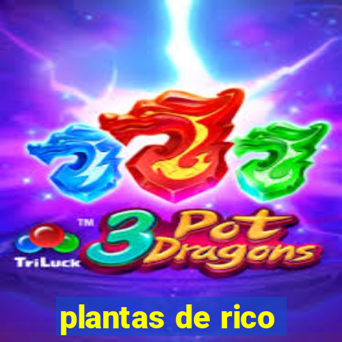 plantas de rico