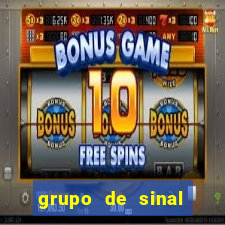 grupo de sinal fortune tiger