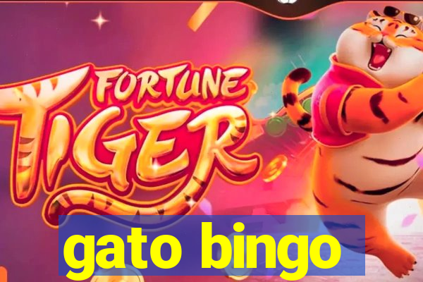 gato bingo