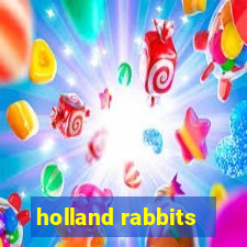 holland rabbits