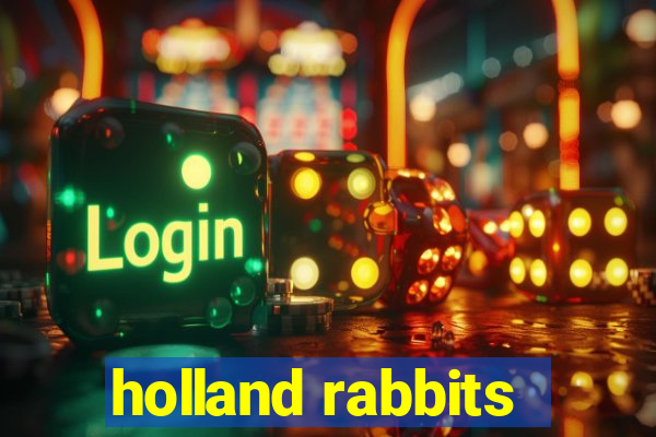 holland rabbits