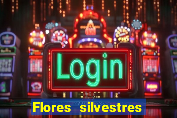 Flores silvestres brasileiras 25