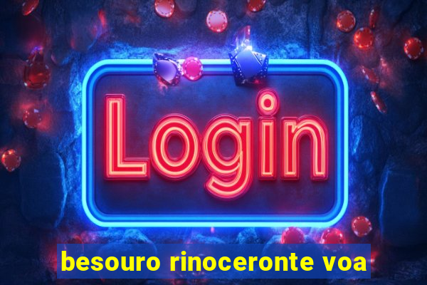 besouro rinoceronte voa