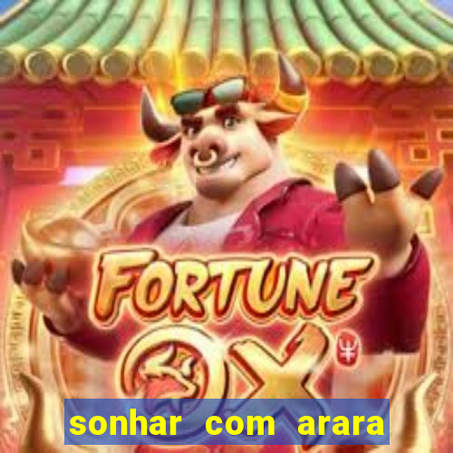 sonhar com arara jogo do bicho