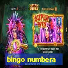 bingo numbera