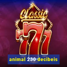 animal 230 decibeis