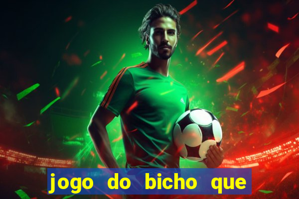 jogo do bicho que paga no pix