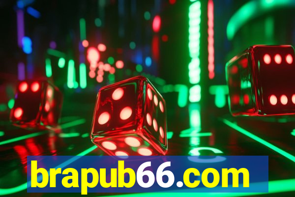 brapub66.com