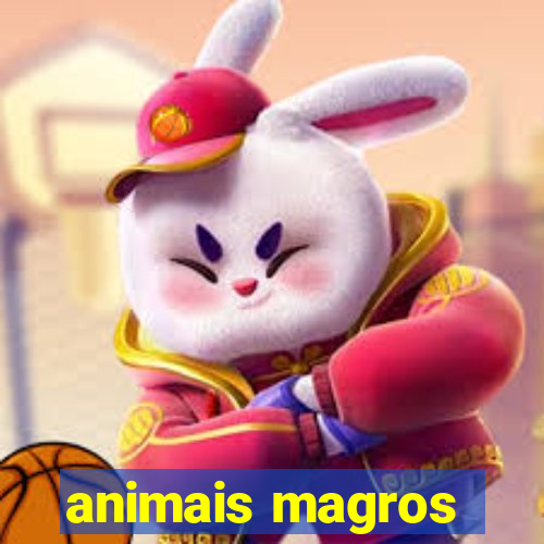 animais magros