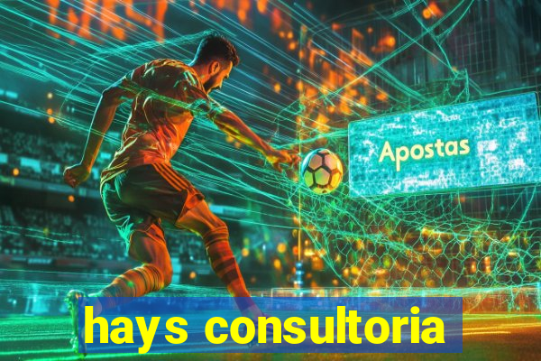 hays consultoria