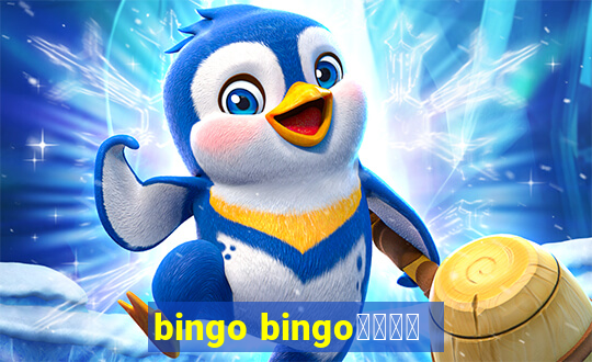 bingo bingo線上投注