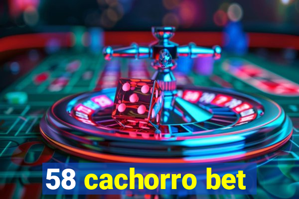 58 cachorro bet