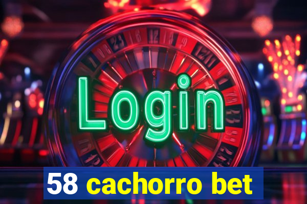 58 cachorro bet