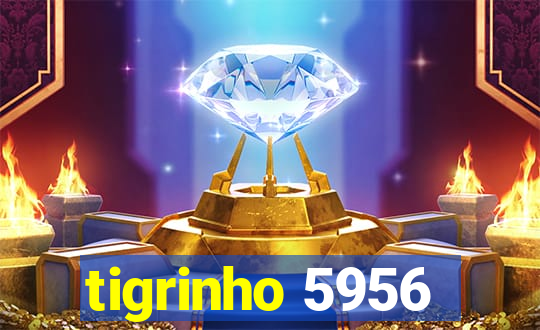 tigrinho 5956