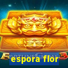 espora flor