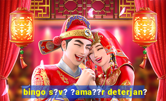 bingo s?v? ?ama??r deterjan?