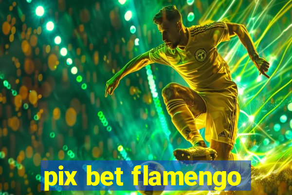 pix bet flamengo